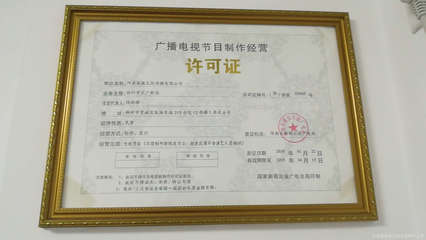 河南新視界網(wǎng)絡(luò)科技 廣播電視節(jié)目制作經(jīng)營(yíng)的創(chuàng)新探索與市場(chǎng)實(shí)踐