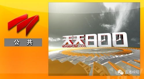 喜迎十九大，主播在行動(dòng)——廣播電視節(jié)目制作經(jīng)營的創(chuàng)新與實(shí)踐